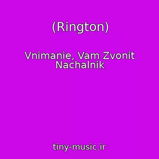 کاور آهنگ (Rington) از Vnimanie, Vam Zvonit Nachalnik