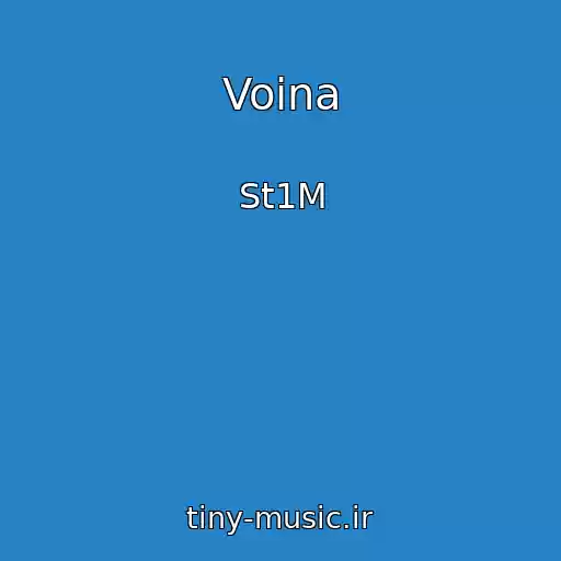 کاور آهنگ Voina از St1M
