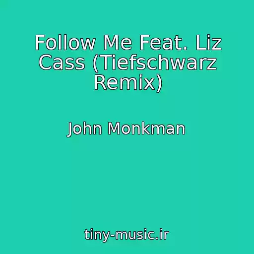 کاور آهنگ Follow Me Feat. Liz Cass (Tiefschwarz Remix) از John Monkman