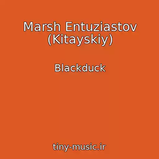 کاور آهنگ Marsh Entuziastov (Kitayskiy) از Blackduck