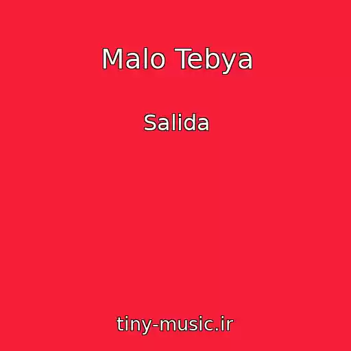 کاور آهنگ Malo Tebya از Salida