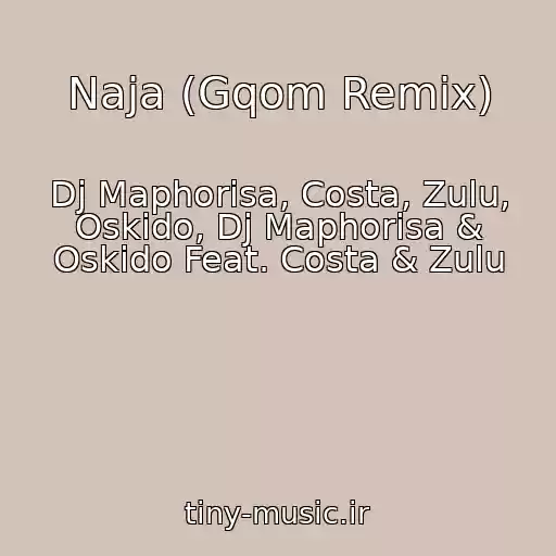 کاور آهنگ Naja (Gqom Remix) از Dj Maphorisa, Costa, Zulu, Oskido, Dj Maphorisa & Oskido Feat. Costa & Zulu