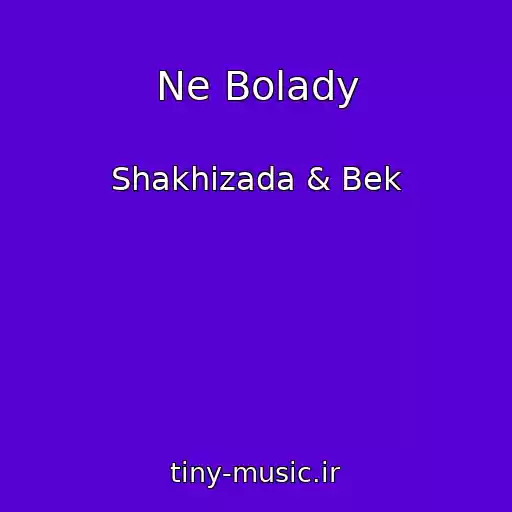 کاور آهنگ Ne Bolady از Shakhizada & Bek