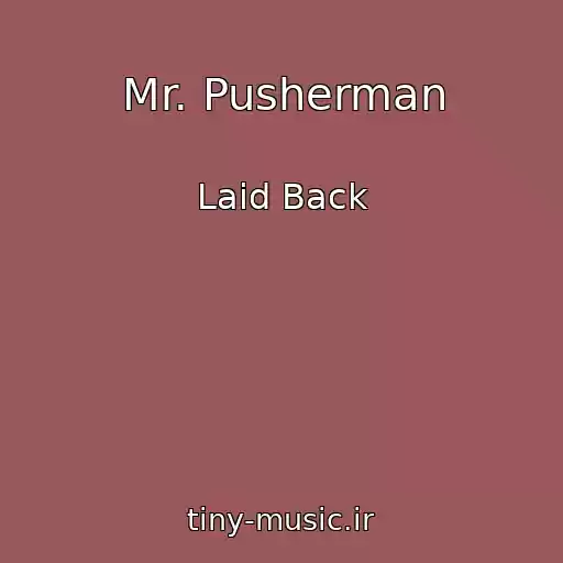 کاور آهنگ Mr. Pusherman از Laid Back