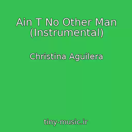 کاور آهنگ Ain T No Other Man (Instrumental) از Christina Aguilera