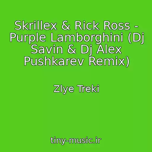 کاور آهنگ Skrillex & Rick Ross - Purple Lamborghini (Dj Savin & Dj Alex Pushkarev Remix) از Zlye Treki