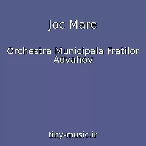 کاور آهنگ Joc Mare از Orchestra Municipala Fratilor Advahov