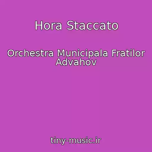 کاور آهنگ Hora Staccato از Orchestra Municipala Fratilor Advahov