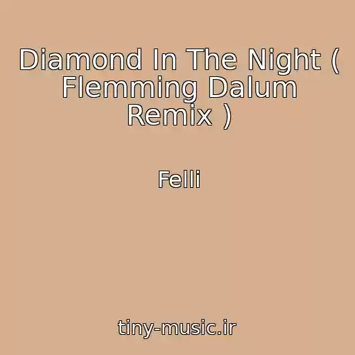 کاور آهنگ Diamond In The Night ( Flemming Dalum Remix ) از Felli