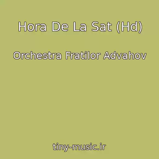 کاور آهنگ Hora De La Sat (Hd) از Orchestra Fratilor Advahov