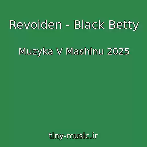 کاور آهنگ Revoiden - Black Betty از Muzyka V Mashinu 2025