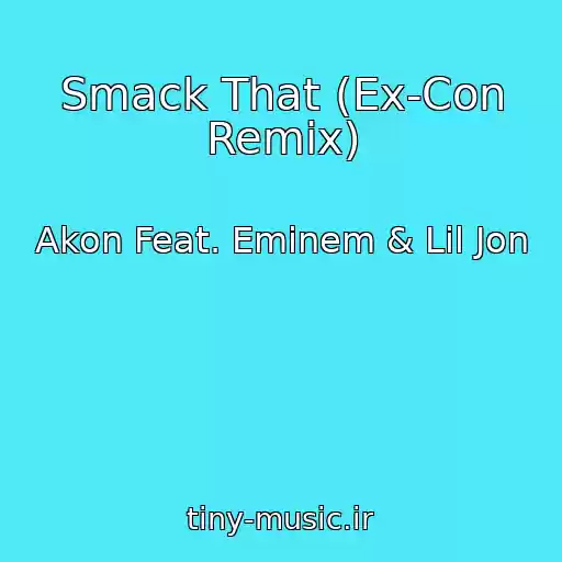 کاور آهنگ Smack That (Ex-Con Remix) از Akon Feat. Eminem & Lil Jon