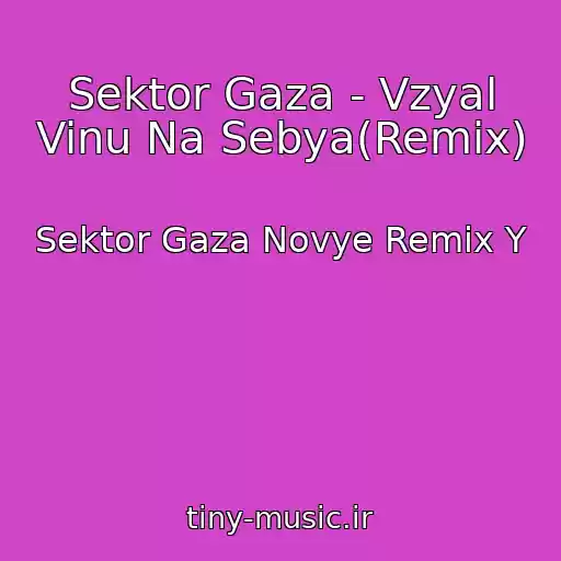 کاور آهنگ Sektor Gaza - Vzyal Vinu Na Sebya(Remix) از Sektor Gaza Novye Remix Y