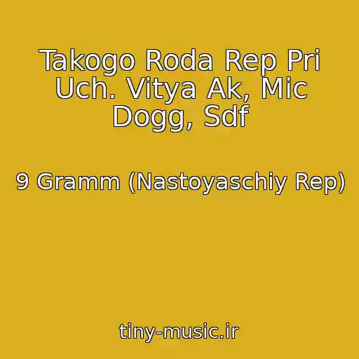 کاور آهنگ Takogo Roda Rep Pri Uch. Vitya Ak, Mic Dogg, Sdf از 9 Gramm (Nastoyaschiy Rep)