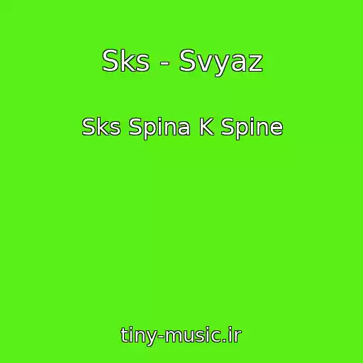 کاور آهنگ Sks - Svyaz از Sks Spina K Spine