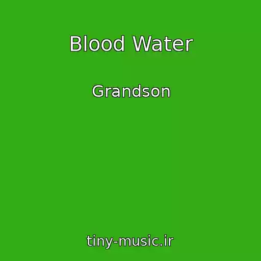 کاور آهنگ Blood Water از Grandson