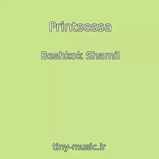کاور آهنگ Printsessa از Beshkok Shamil