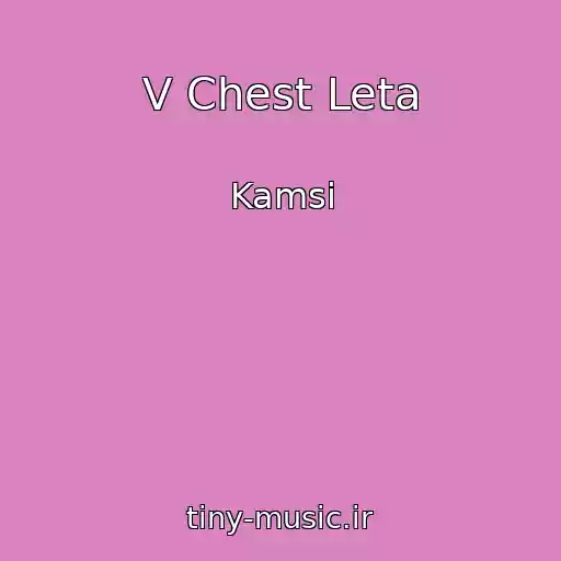 کاور آهنگ V Chest Leta از Kamsi