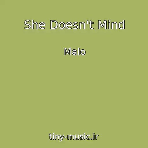 کاور آهنگ She Doesn't Mind از Malo