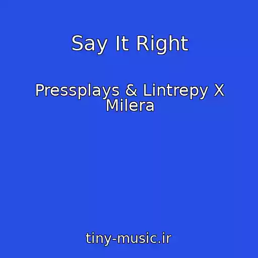 کاور آهنگ Say It Right از Pressplays & Lintrepy X Milera