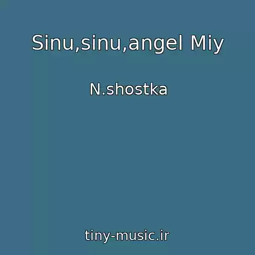کاور آهنگ Sinu,sinu,angel Mіy از N.shostka