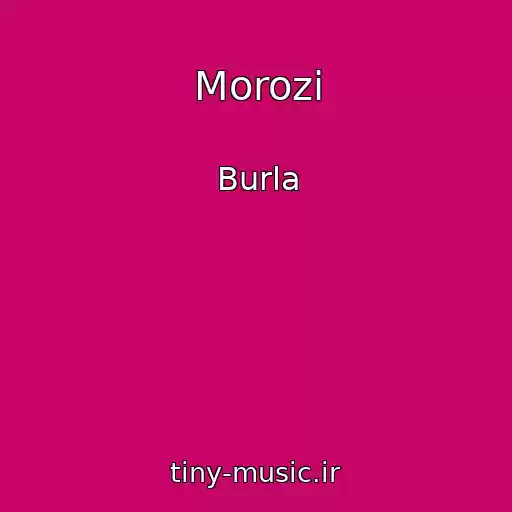 کاور آهنگ Morozi از Burla