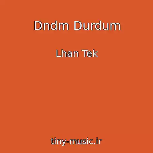 کاور آهنگ Dndm Durdum از Lhan Tek