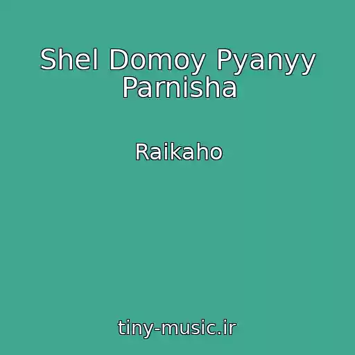 کاور آهنگ Shel Domoy Pyanyy Parnisha از Raikaho