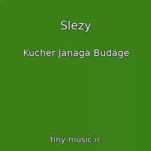 کاور آهنگ Slezy از Kucher Janaga Budage