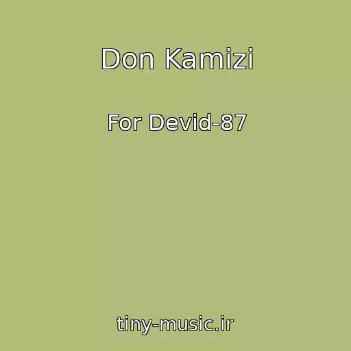 کاور آهنگ Don Kamizi از For Devid-87