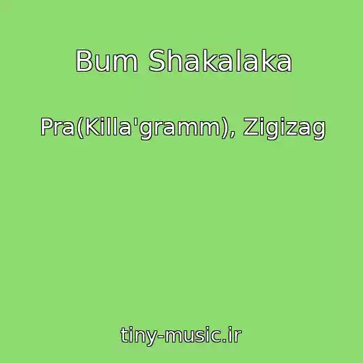 کاور آهنگ Bum Shakalaka از Pra(Killa'gramm), Zigizag