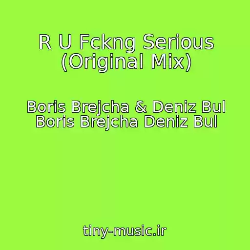کاور آهنگ R U Fckng Serious (Original Mix) از Boris Brejcha & Deniz Bul Boris Brejcha Deniz Bul