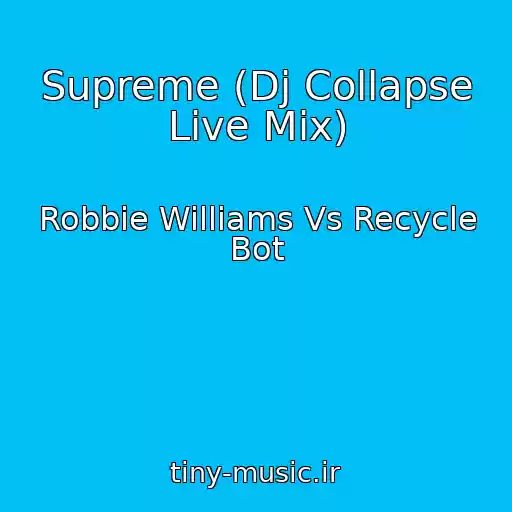 کاور آهنگ Supreme (Dj Collapse Live Mix) از Robbie Williams Vs Recycle Bot