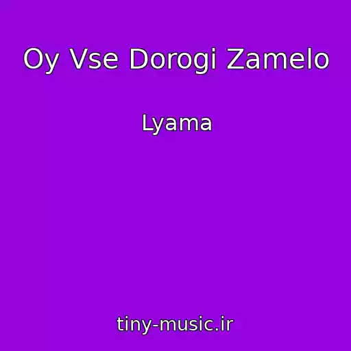 کاور آهنگ Oy Vse Dorogi Zamelo از Lyama