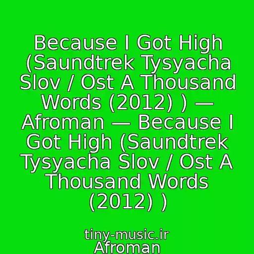کاور آهنگ Because I Got High (Saundtrek Tysyacha Slov / Ost A Thousand Words (2012) ) — Afroman — Because I Got High (Saundtrek Tysyacha Slov / Ost A Thousand Words (2012) ) از Afroman