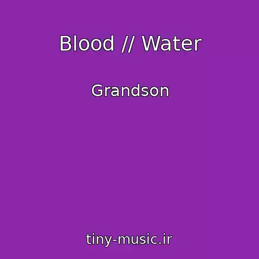 کاور آهنگ Blood // Water از Grandson