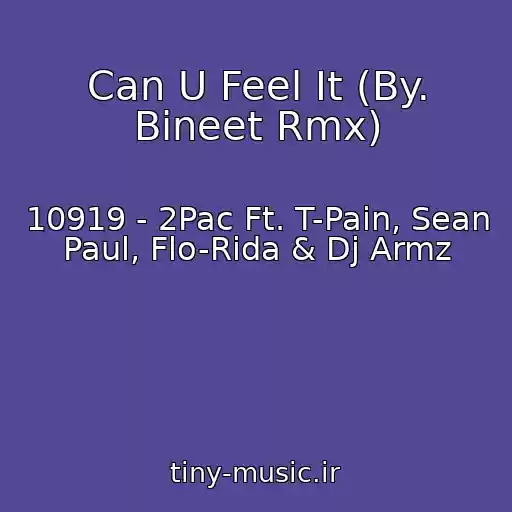 کاور آهنگ Can U Feel It (By. Bineet Rmx) از 10919 - 2Pac Ft. T-Pain, Sean Paul, Flo-Rida & Dj Armz