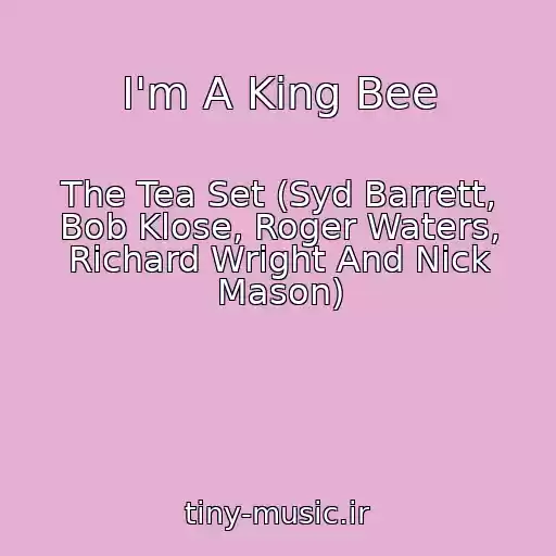 کاور آهنگ I'm A King Bee از The Tea Set (Syd Barrett, Bob Klose, Roger Waters, Richard Wright And Nick Mason)
