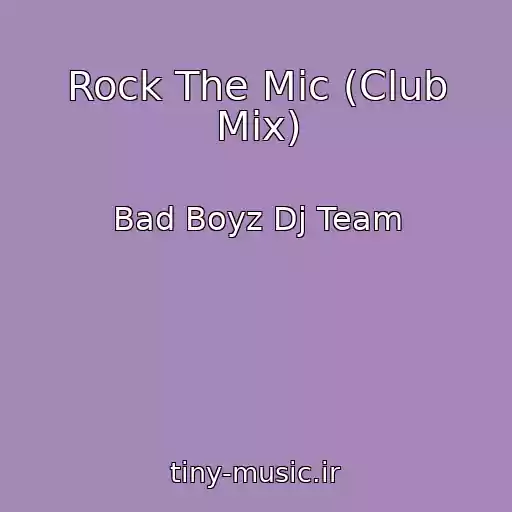 کاور آهنگ Rock The Mic (Club Mix) از Bad Boyz Dj Team