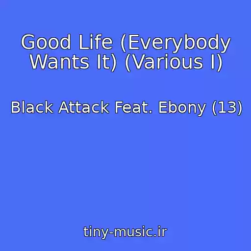 کاور آهنگ Good Life (Everybody Wants It) (Various I) از Black Attack Feat. Ebony (13)