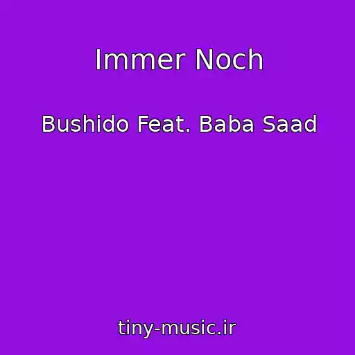 کاور آهنگ Immer Noch از Bushido Feat. Baba Saad