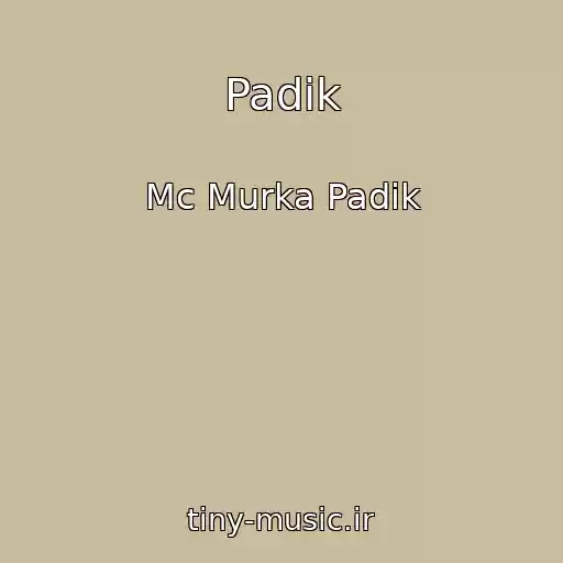 کاور آهنگ Padik از Mc Murka Padik