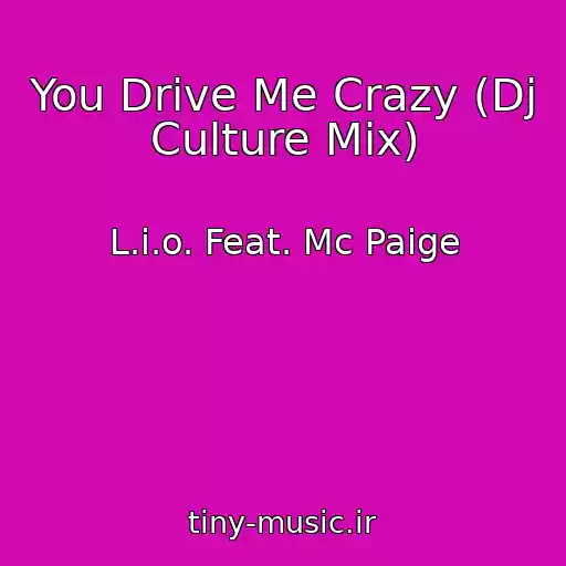 کاور آهنگ You Drive Me Crazy (Dj Culture Mix) از L.i.o. Feat. Mc Paige