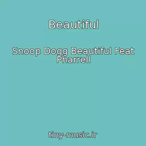 کاور آهنگ Beautiful از Snoop Dogg Beautiful Feat Pharrell