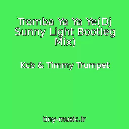 کاور آهنگ Tromba Ya Ya Ye(Dj Sunny Light Bootleg Mix) از Kcb & Timmy Trumpet