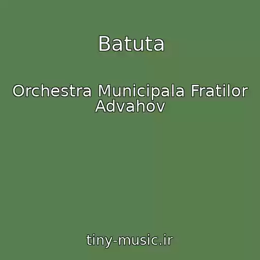 کاور آهنگ Batuta از Orchestra Municipala Fratilor Advahov