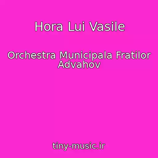کاور آهنگ Hora Lui Vasile از Orchestra Municipala Fratilor Advahov