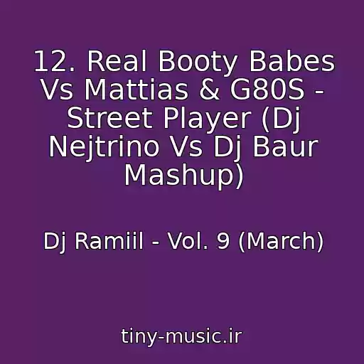کاور آهنگ 12. Real Booty Babes Vs Mattias & G80S - Street Player (Dj Nejtrino Vs Dj Baur Mashup) از Dj Ramiil - Vol. 9 (March)