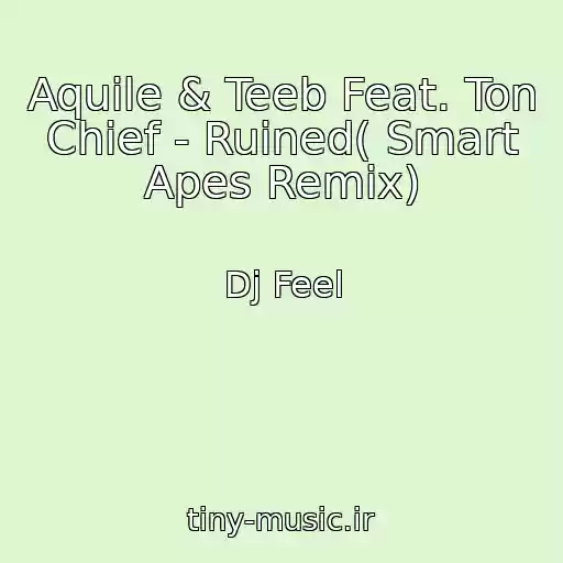 کاور آهنگ Aquile & Teeb Feat. Ton Chief - Ruined( Smart Apes Remix) از Dj Feel