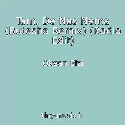 کاور آهنگ Tam, De Nas Nema (Butesha Remix) (Radio Edit) از Okean Elzi